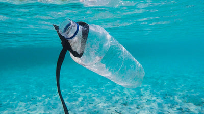 The Problem With Plastic Bottles, Plastic Pollution & Damage To The Planet.